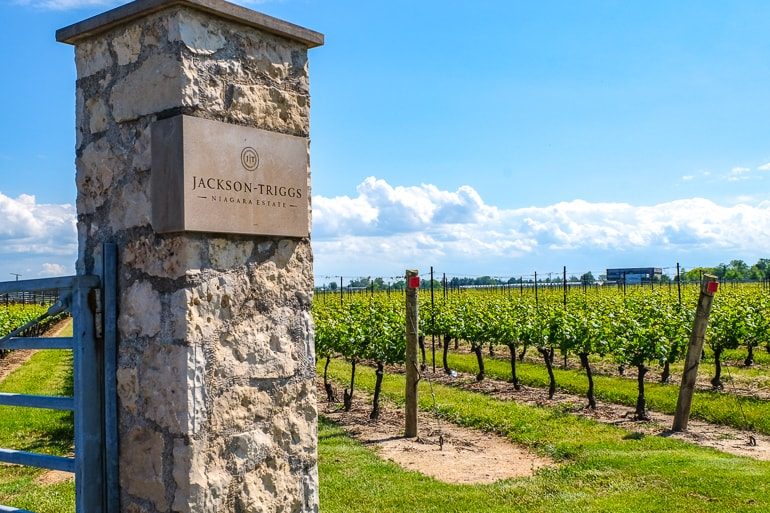 Weingüter in Niagara on the Lake, Kanada, die einen Besuch wert sind