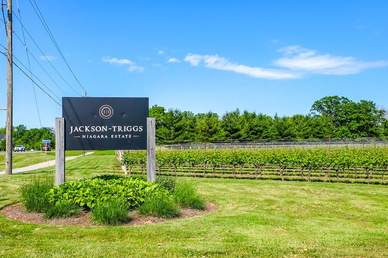 Schild für Weingut mit Weinanbauflächen im Hintergrund