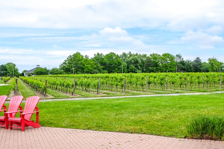 red muskoka chairs with green vineyards behind while on niagara on the lake wine tours