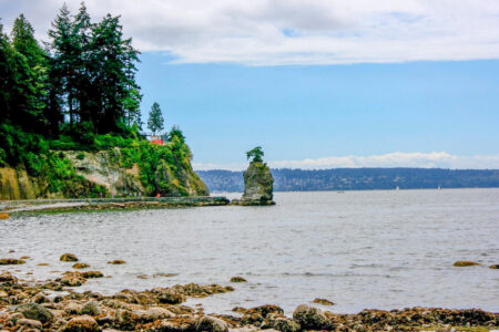 trees and coast stanley park vancouver itinerary penguin and pia