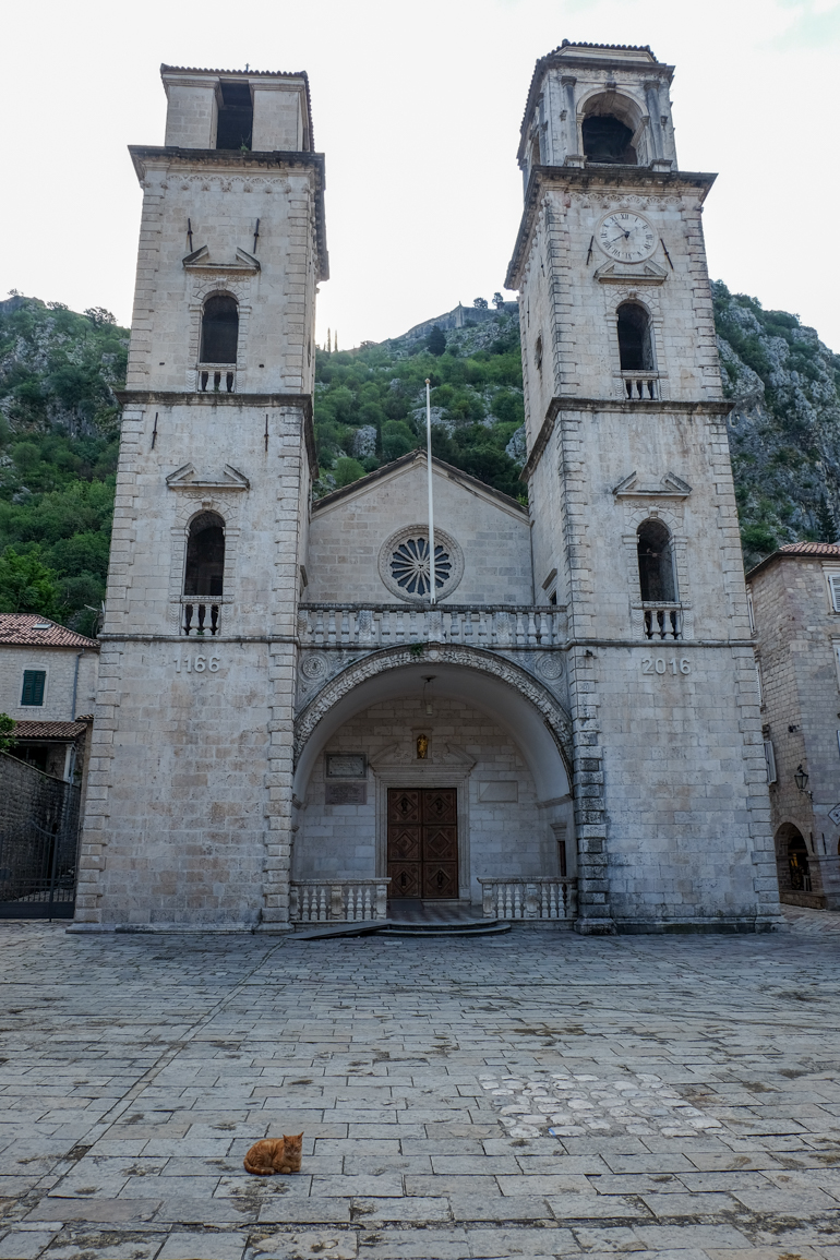stone cathedral of st tryphon in kotor old town things to do