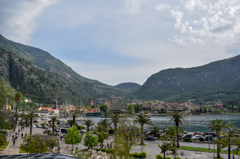 kotor port with boats and palm trees on shore with mountains in the background.