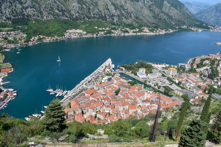 old town kotor from above with bay of kotor in background things do to in kotor
