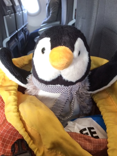 stuffed penguin in orange backpack on airplane penguin and pia