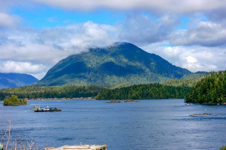 mountain with blue water and green trees in front in tofino canada sightseeing
