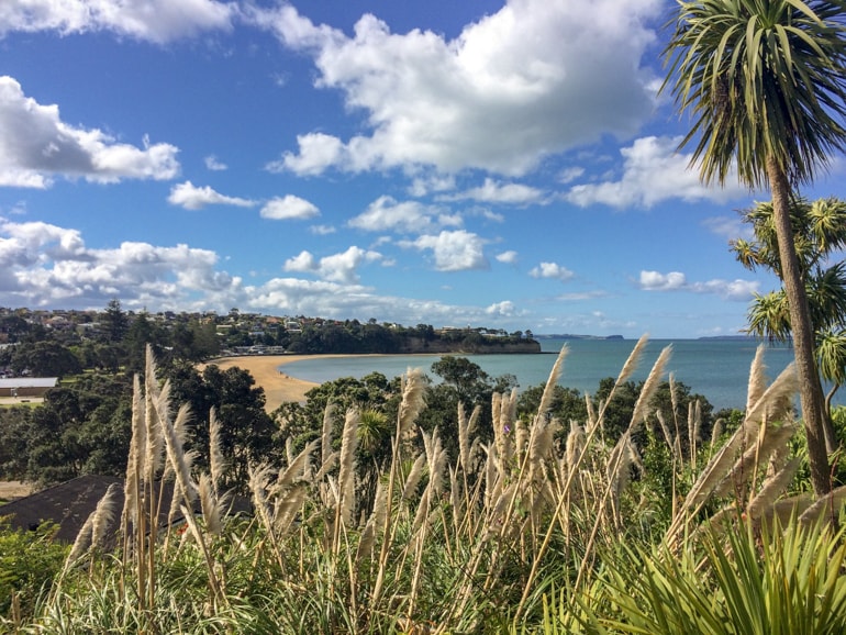 Bucht mit Palmen, Strnd und blauem Himmel Neuseeland Auckland Brown's Bay Sehenswürdigkeiten