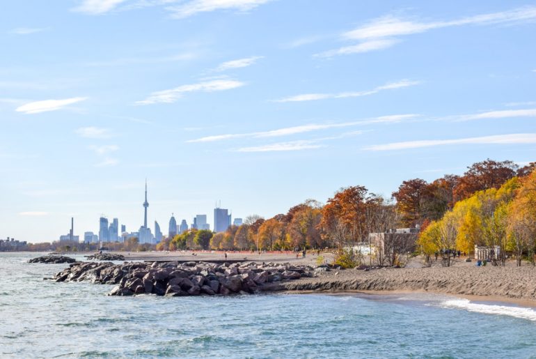 fall leaves and lake ontario shoreline travelling to canada for the first time