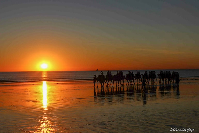 Kamele am Strand mit Wasser bei Sonnenuntergang und orangenem Himmel