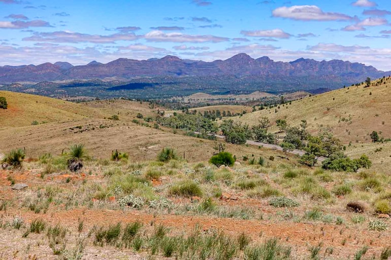 Graslandschaft mit Bergen im Hintergrund Flinders Ranges
