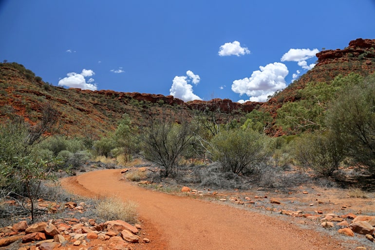 Red desert road with trees kings canyon best places to visit in Australia