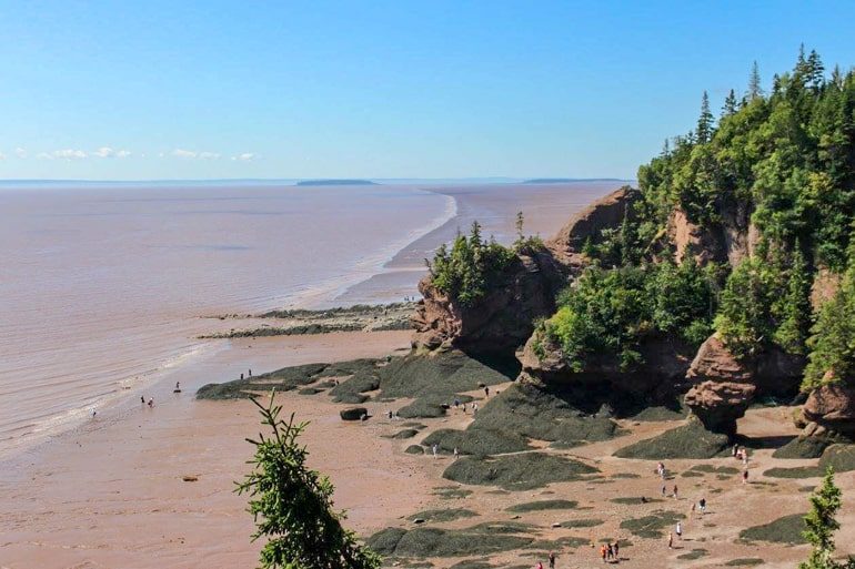 Rote Klippen mit Meer und Bäumen beste Reisezeit Kanada