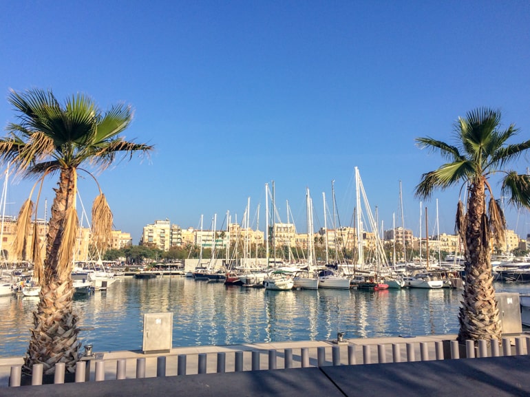 sail boats in blue harbour in barcelona with palm trees on boardwalk in front.