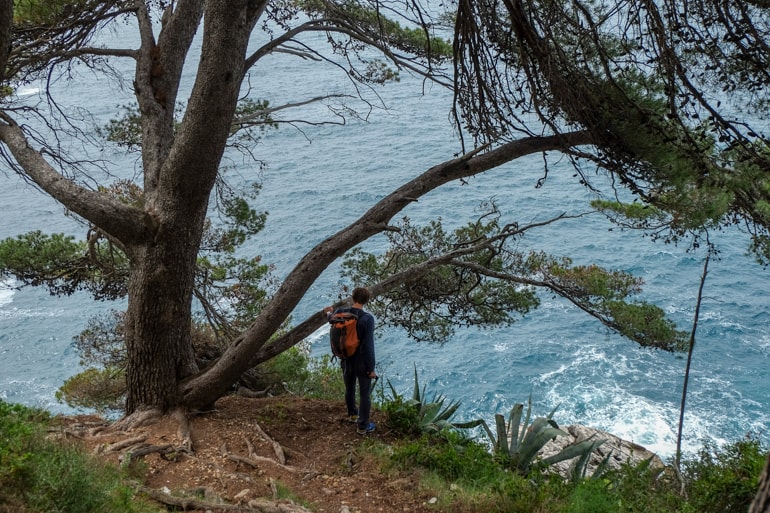 Mann mit Rucksack und bäumen an Küste in Dubrovnik Kroatien