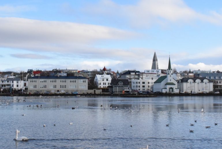swan in pond with old buildings on shoreline must see places in europe in winter reykjavik iceland