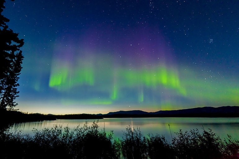 Grüne Nordlichter über See mit Bäumen im Vordergrund Kanada Yukon