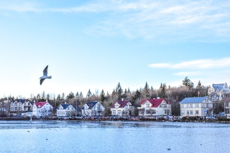 Bunte Häuser am Rande des Sees mit fliegender Möwe.