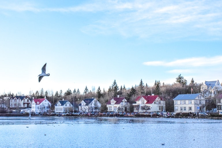 colourful houses on shore of lake with birds flying