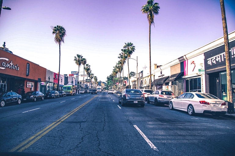 Autos auf Straße mit Palmen am Straßenrand Los Angeles Sehenswürdigkeiten
