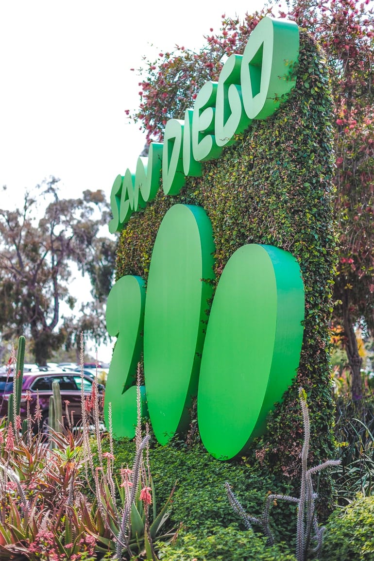 Grünes Schild für San Diego Zoo und grünes Gebüsch