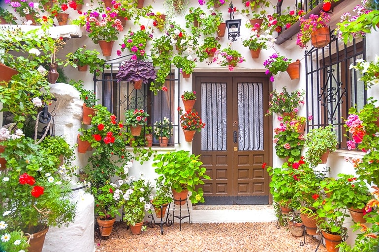 colourful flowers on white wall around brown door in cordoba spain beautiful cities