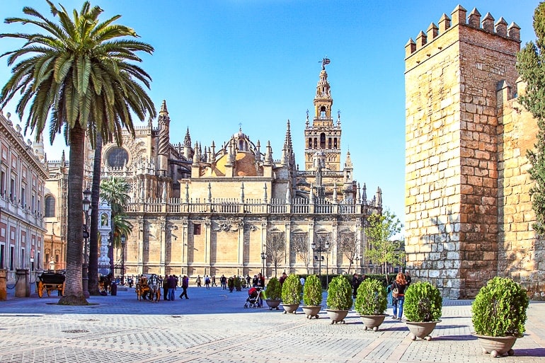 Schön verzierte Kathedrale am Ende des Platzes mit Bäumen und Turm in der Nähe Sevilla Spanien