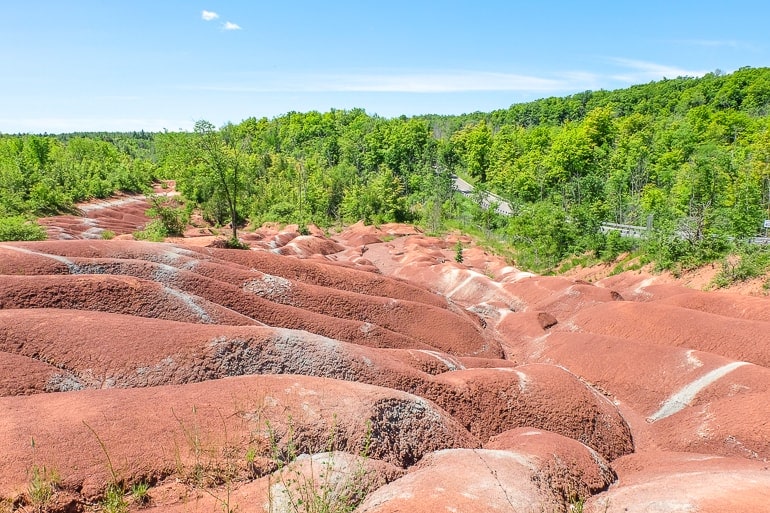 red rock formations with green trees behind