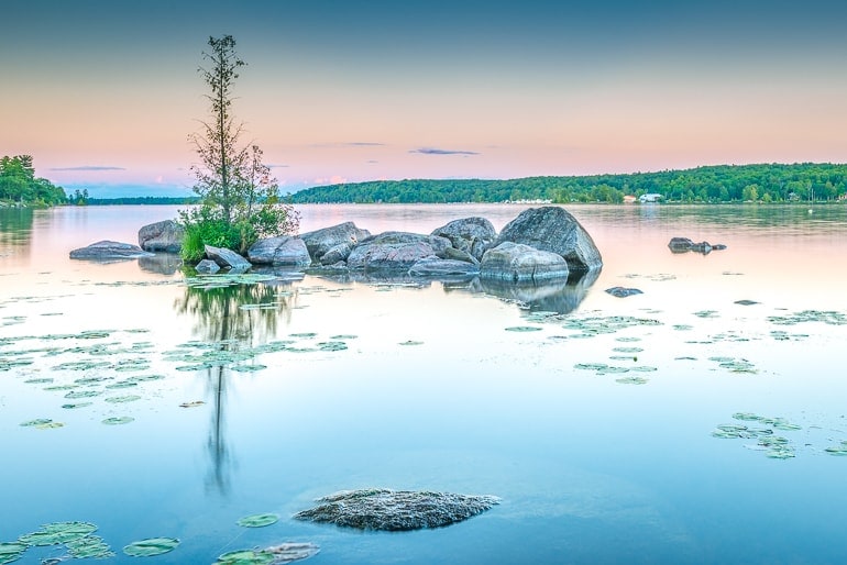 Sonnenaufgang bei blauem See mit Baum und Steinen Kawartha Lakes Kanada
