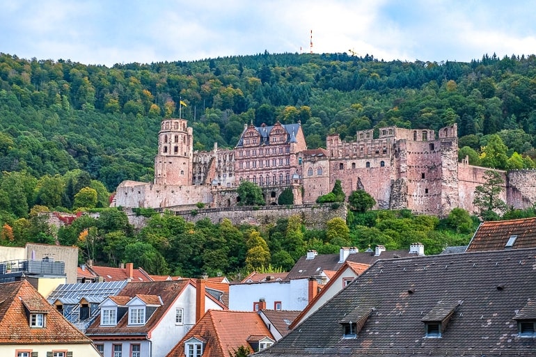 red castle sitting in green hillside above city heidelberg germany