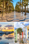 Collage of Photos houses and palm trees and sunset with boats for Pinterest pin