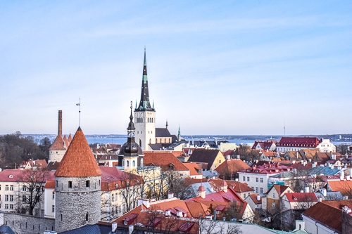 Hoher Kirchturm zwischen anderen Gebäuden mit orangen Dächern in Altstadt von Tallinn