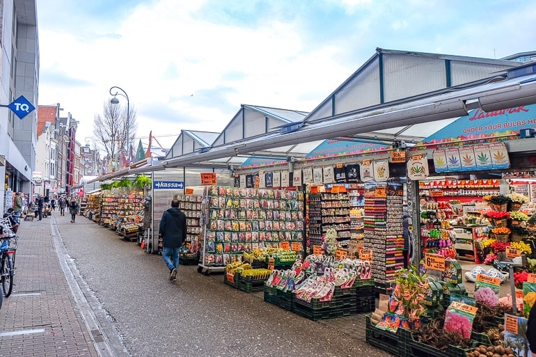 colourful flower market stalls beside one another with sidewalk in front.