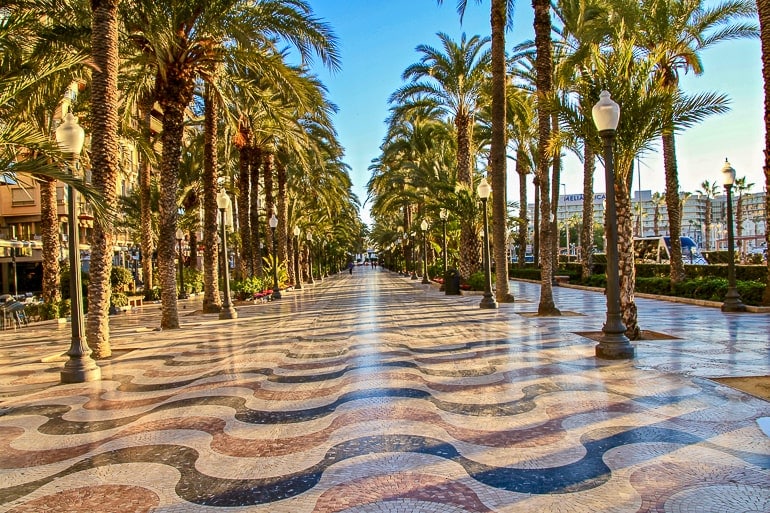 colourful boardwalk with palm trees in alicante spain