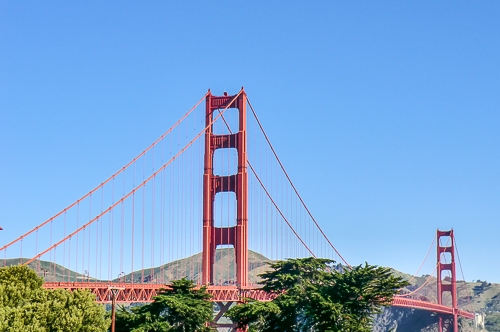 Rote Brücke Golden Gate Bridge bei blauem Himmel und grünen Bäumen im Vordergrund