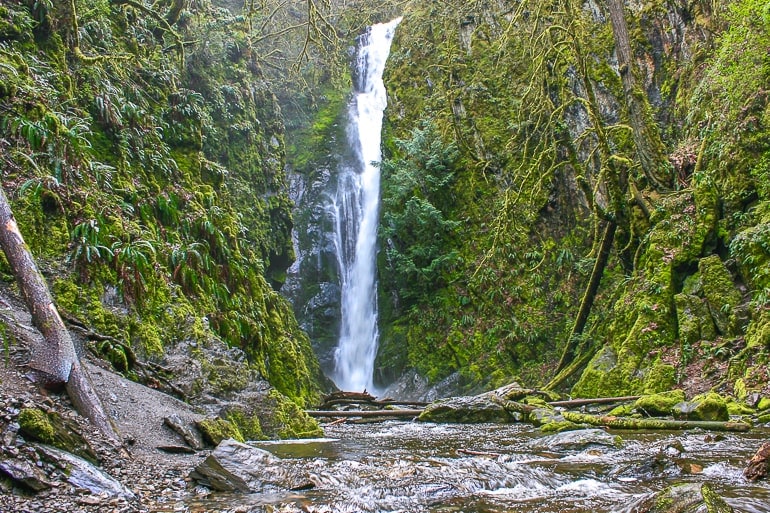 tall waterfall falling with green forest surrounding it in victoria bc
