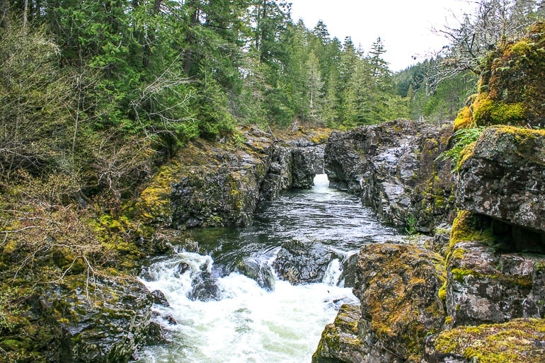 Wasserfall durch grüne Steine mit Wald im Hintergrund in Provinzpark