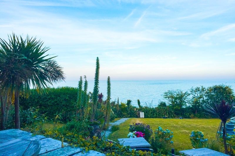 large green cactus and plants overlooking ocean in cornwall