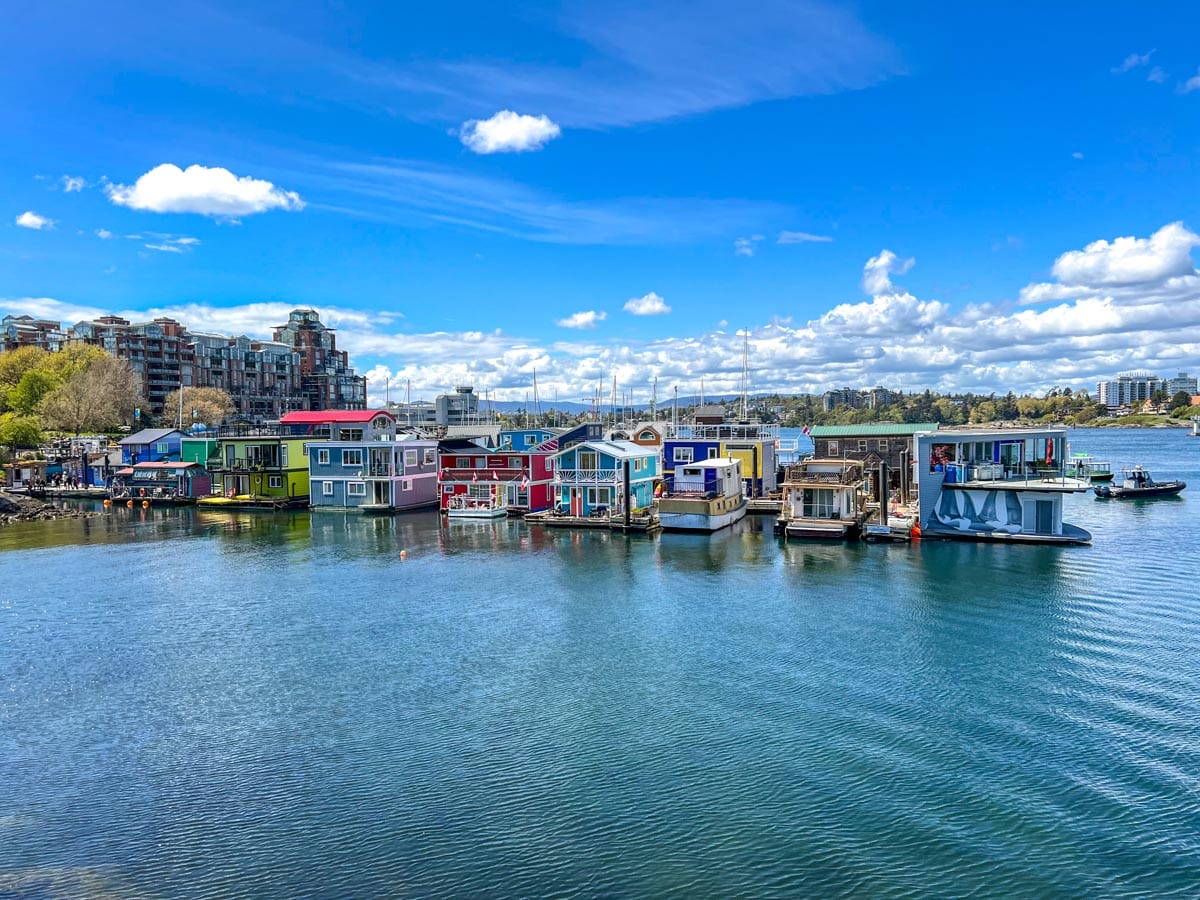 houseboats in many colours floating in a row in blue water of victoria bc harbour with blue sky above.