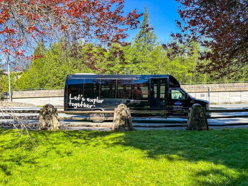 black mini tour bus parked under shade of tree with leaves on branches above.