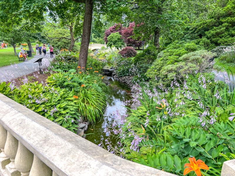 Grünpflanzen mit Blumen und einer kleinen Brücke im Hintergrund im öffentlichen Garten.
