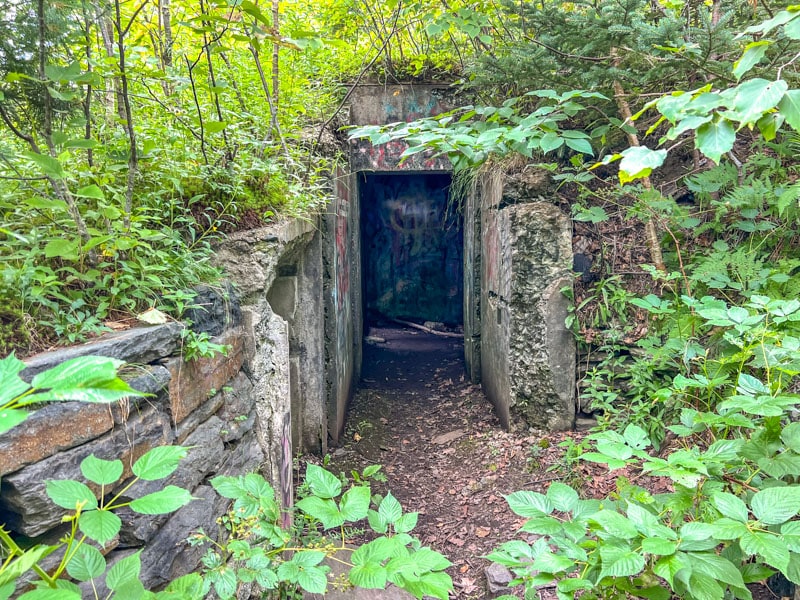 concrete bunker entrance in forest surrounded by trees.