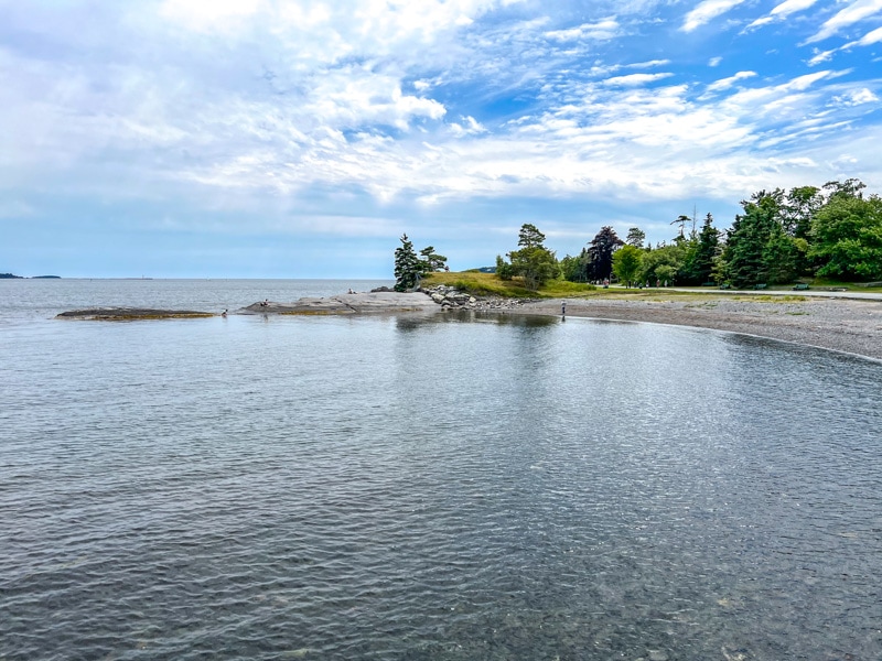 rocky point with water in front and beach and pine trees beside on shore.