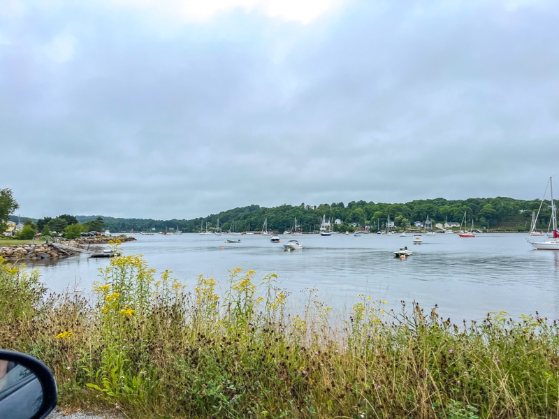 sailboats sitting in harbour with green tall grass in front and grey skies above.