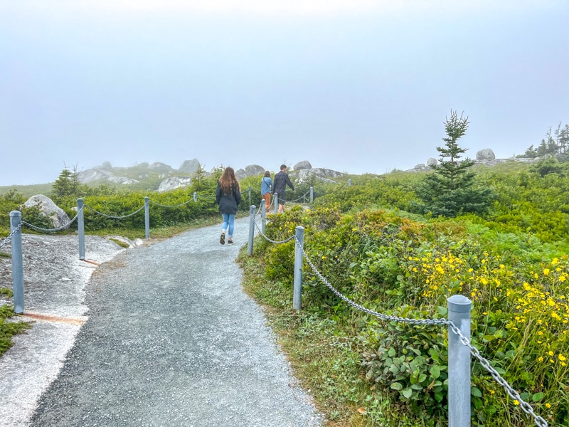 group of people walking rocky guided trail through green shrubs with grey sky above.