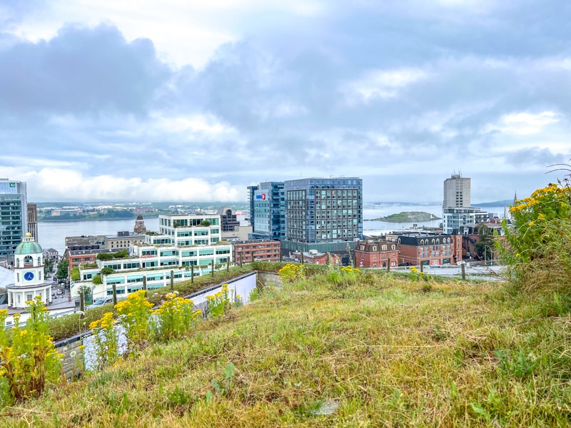 Blick vom Grashügel auf die Gebäude der Innenstadt und den Hafen in der Ferne mit grauen Wolken darüber.