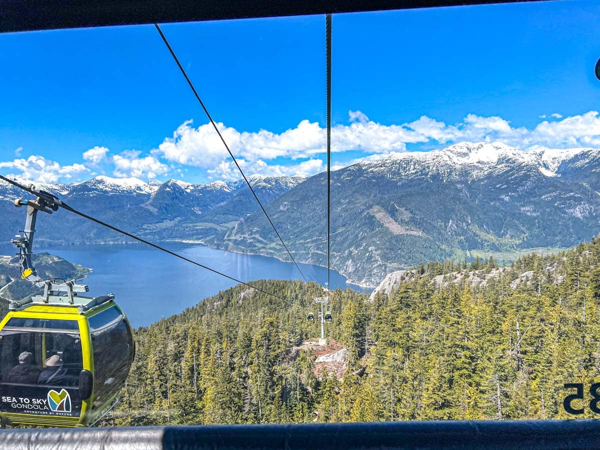 green gondola strung on large cables with green and mountainous scenery in distance.