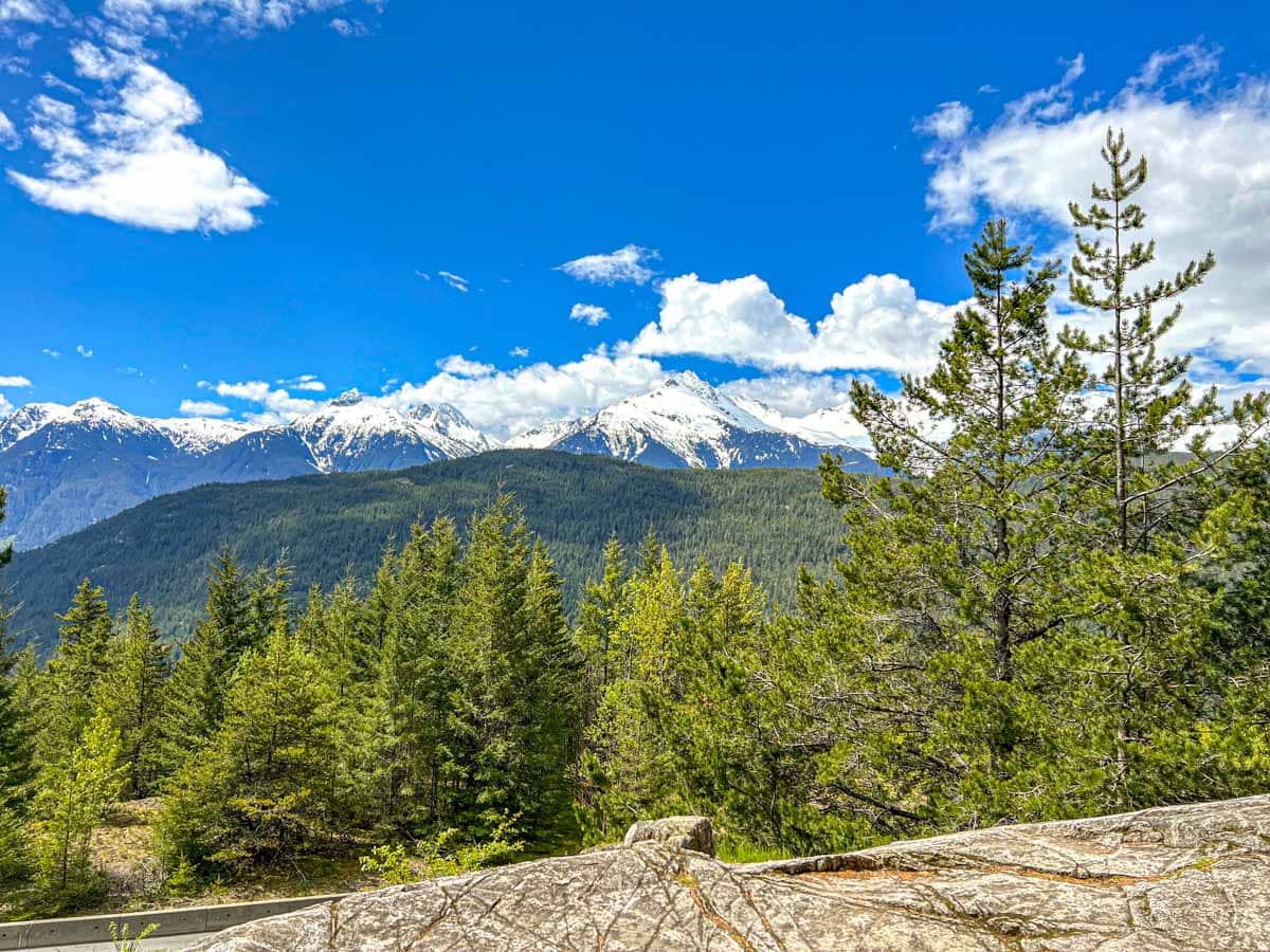 large snowy mountain seen from distance with green trees and rocks in front.