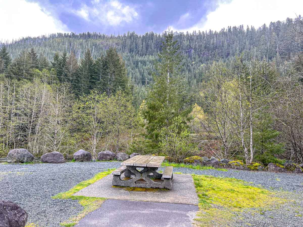 large picnic table outdoors with forest and mountains behind.